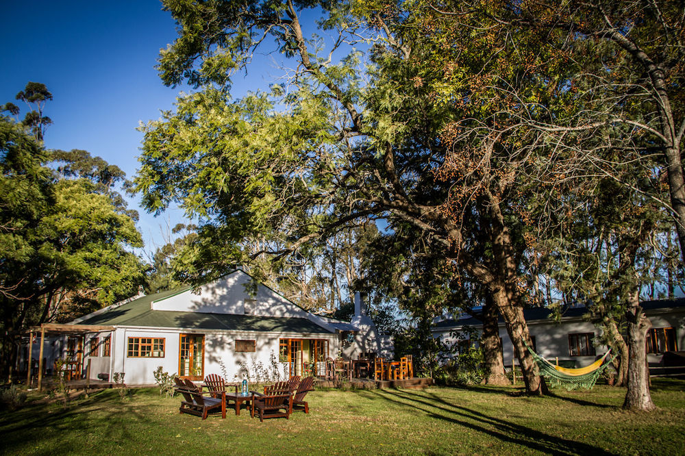 Addo African Home Экстерьер фото