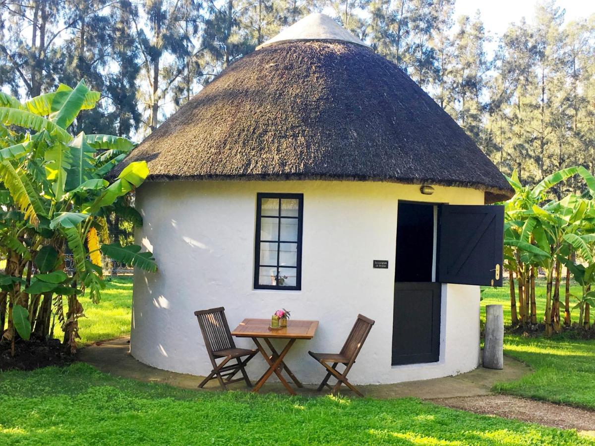 Addo African Home Экстерьер фото